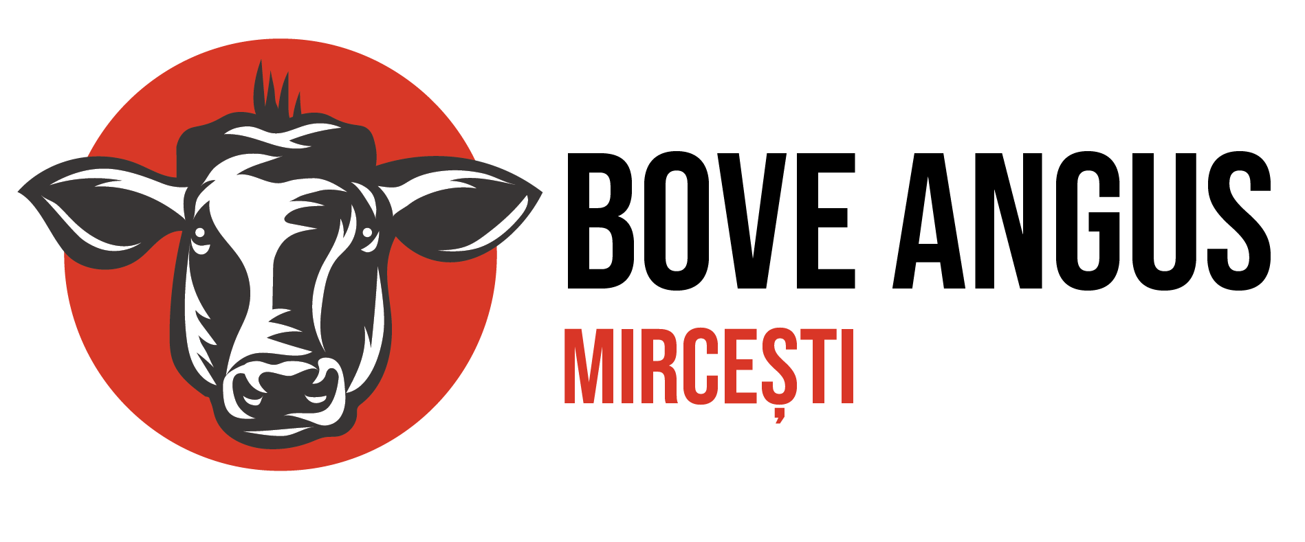 Bove Angus Mircesti